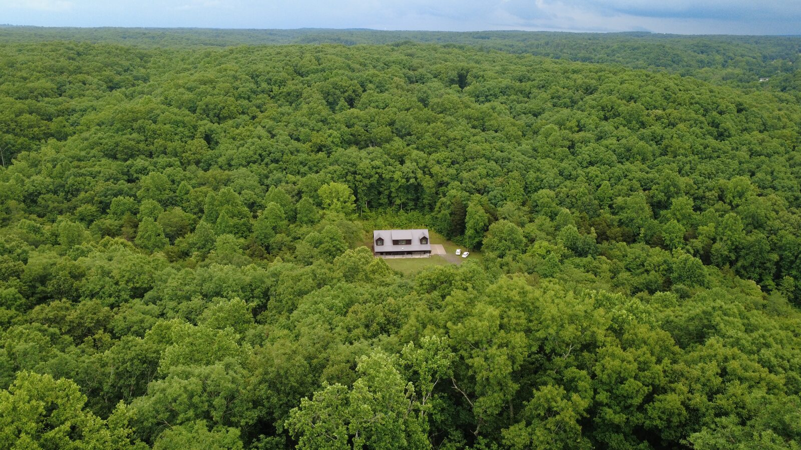 Aerial of the residence in its forest clearing