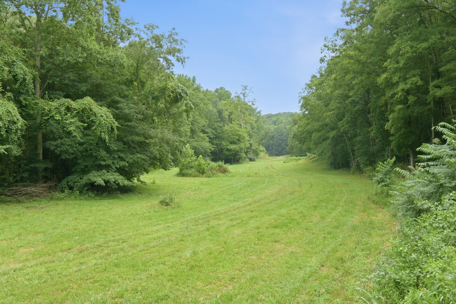 Open pasture lane under blue sky
