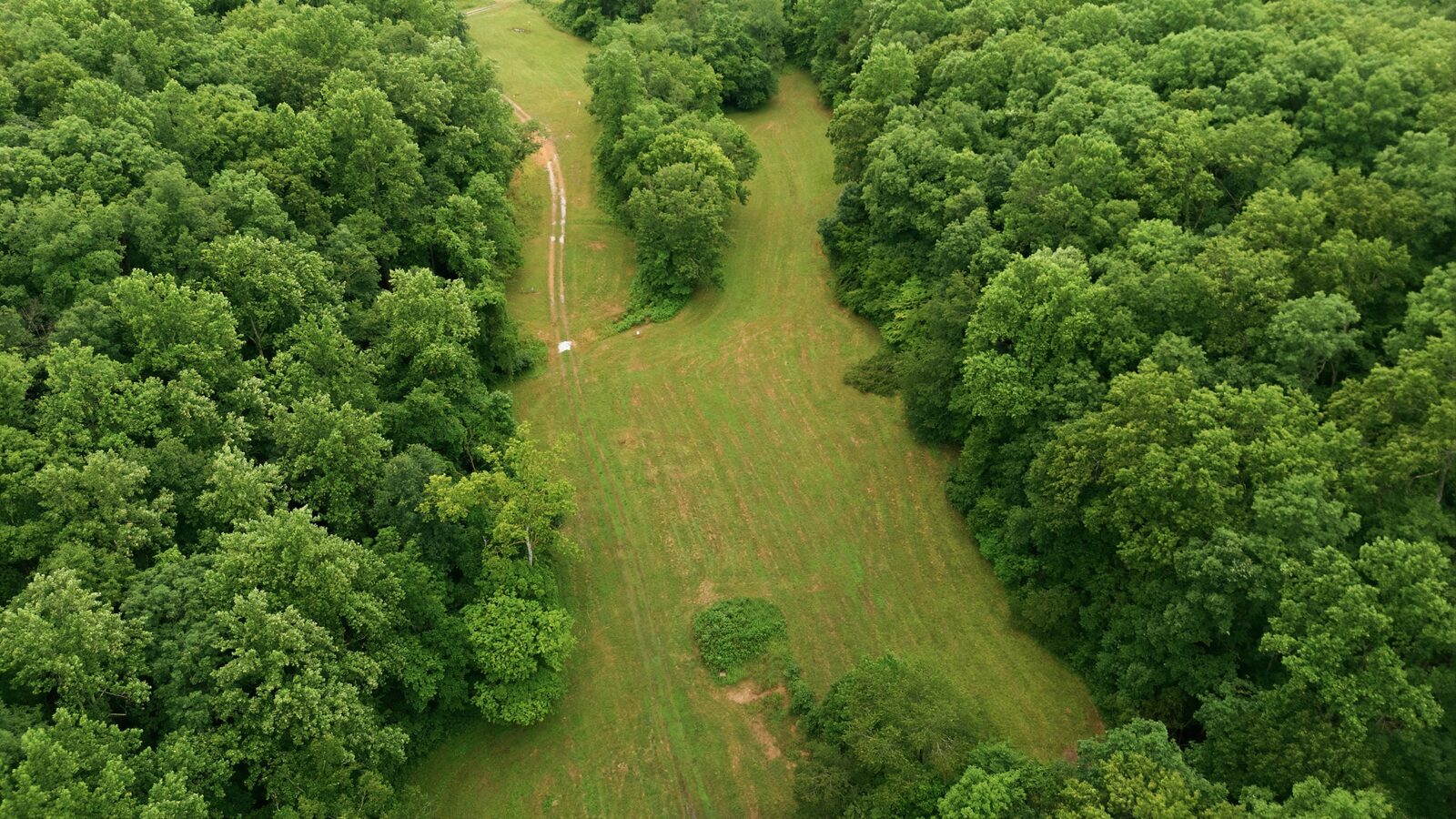 Mowed lanes through the wooded ridges, aerial