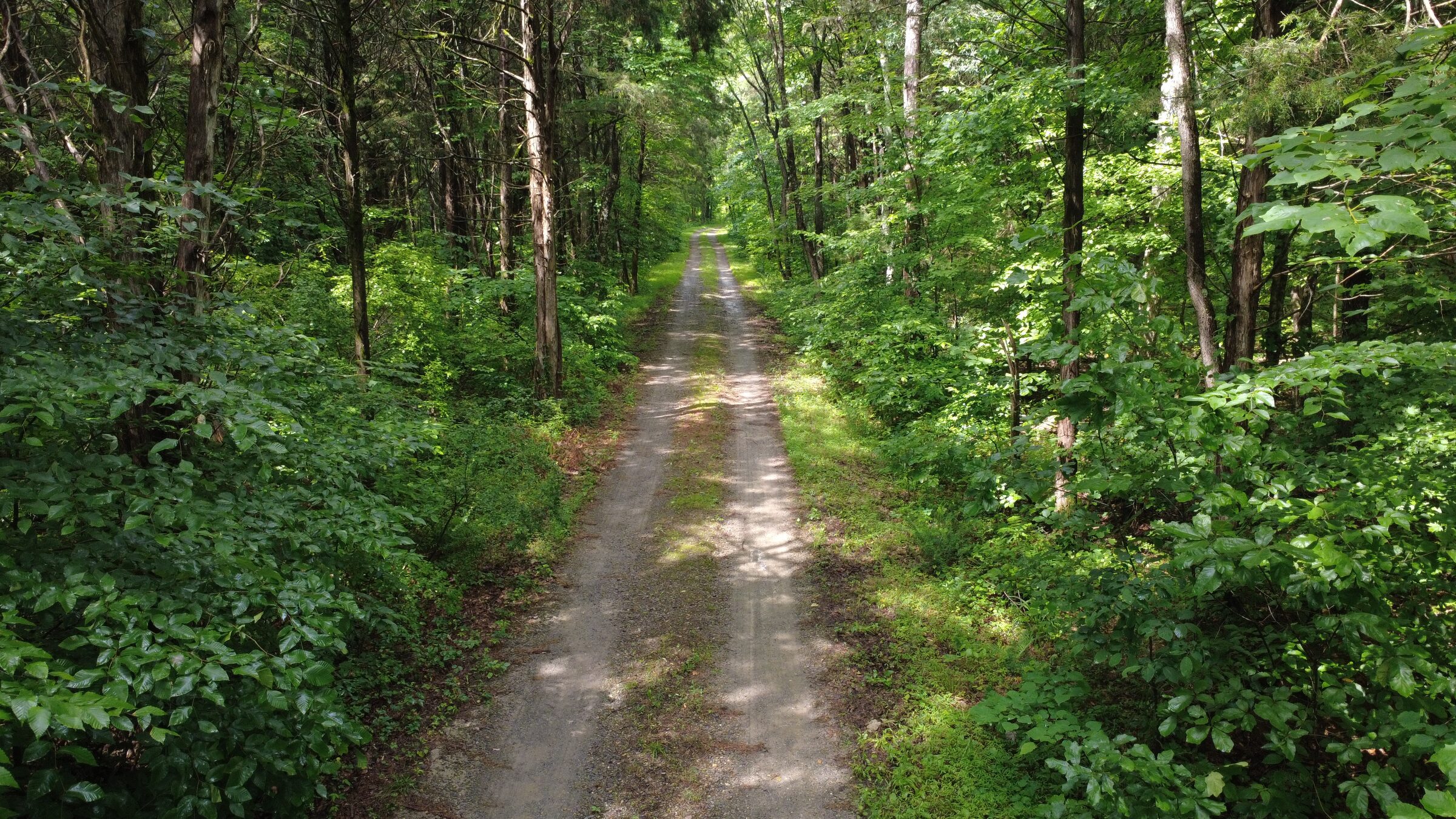 Long mowed lanes winding between wooded ridges